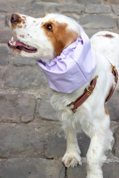 Snood imperméable et réversible Daisy