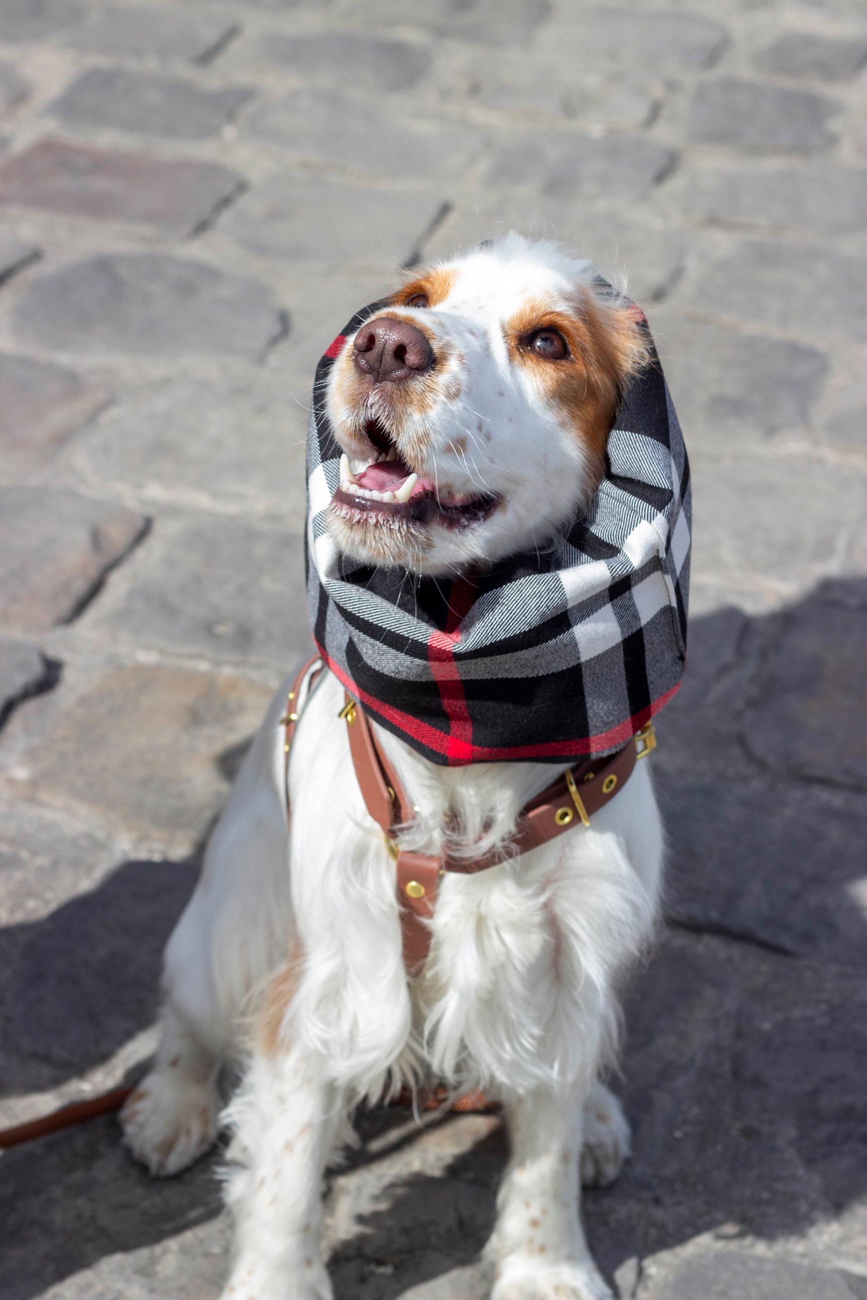 Snood imperméable et réversible Oban