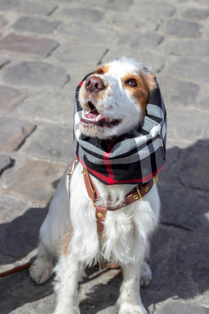 Snood imperméable et réversible Oban
