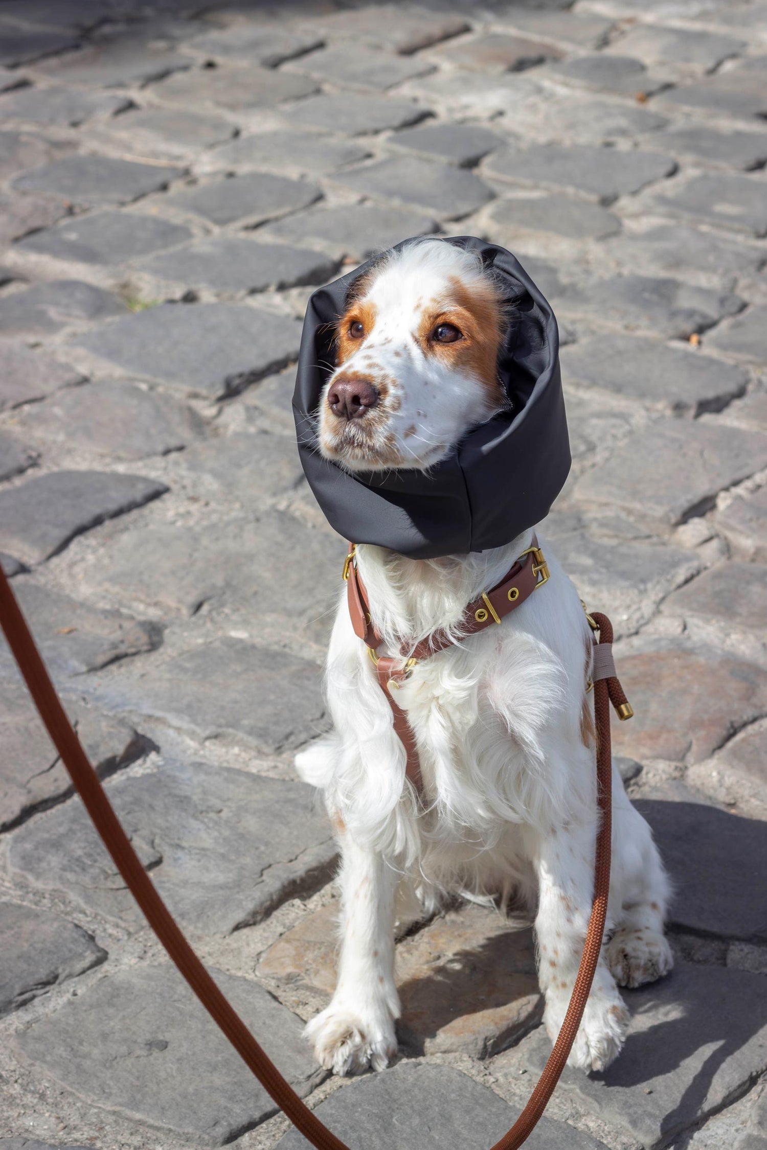 Snood imperméable et réversible Oban