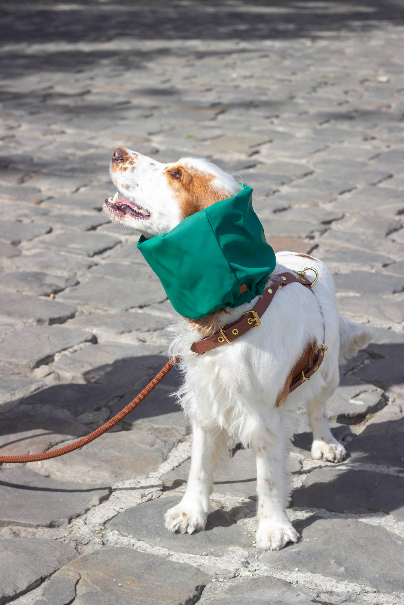 Snood imperméable et réversible Glencoe