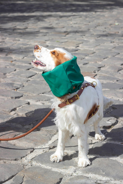 Snood imperméable et réversible Glencoe