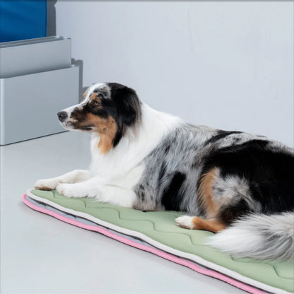 Tapis rafraîchissant à mémoire de forme vert